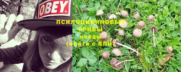 винт Армянск