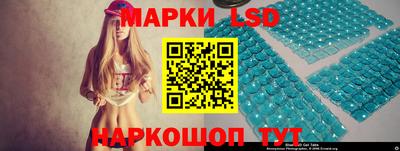 стафф Гатчина