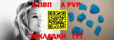 стафф Гатчина
