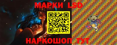стафф Гатчина