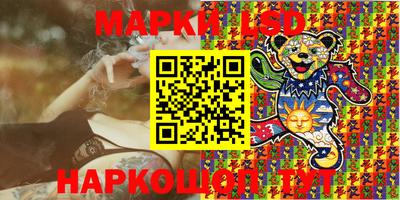 стафф Гатчина