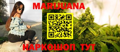 стафф Гатчина