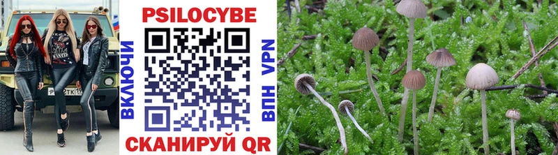 где найти   Ефремов  Галлюциногенные грибы Psilocybe 