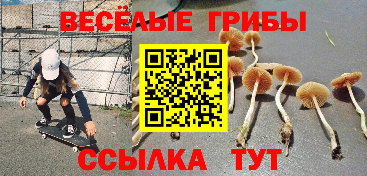 Псилоцибиновые грибы MAGIC MUSHROOMS  Псилоцибиновые грибы мицелий  Ефремов 