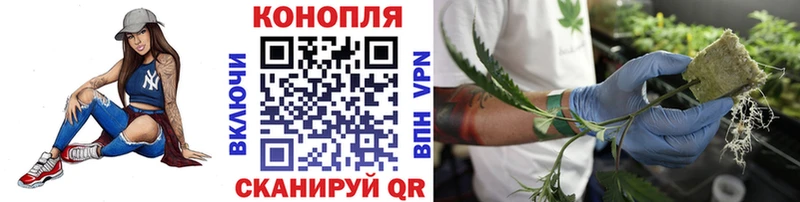 Бошки марихуана VHQ  Ефремов 